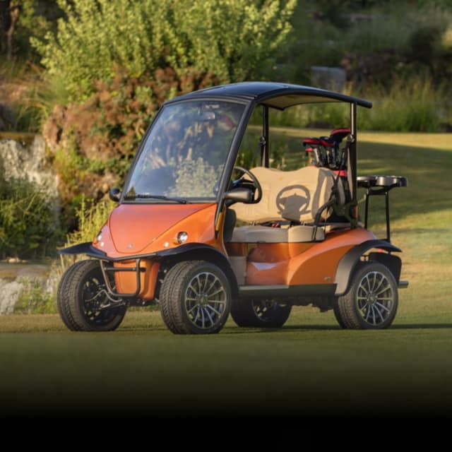 Carro de Golf
